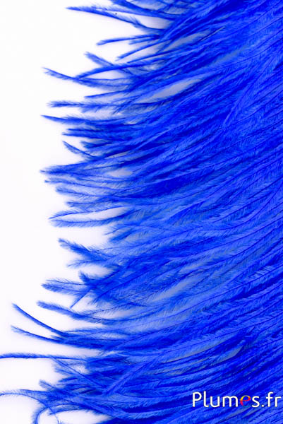 Struzzo barbules - 8-15 cm - blu